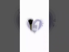 คารี วิดีโอ 2